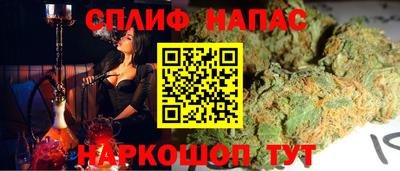 Альфа ПВП Можга