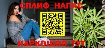 Альфа ПВП Можга