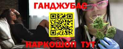 Альфа ПВП Можга