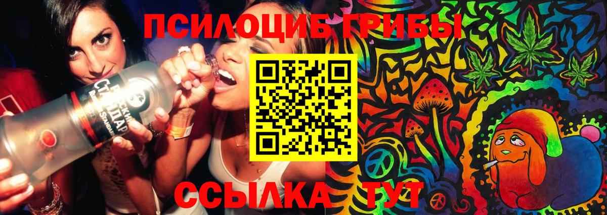 Псилоцибиновые грибы мицелий Электросталь